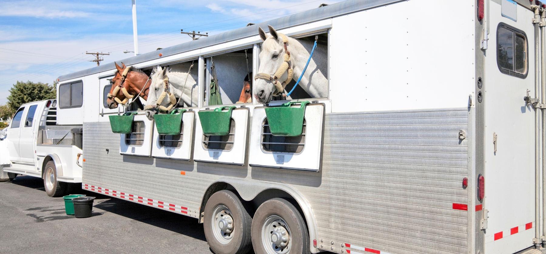 Horse Trailer Repair
